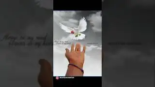 Pigeon Clouds Photography Editing 