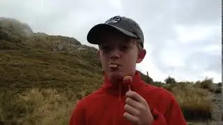 How to make pineapple skewers