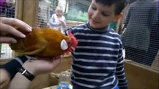 Куда пойти на выходные? Захар в зоопарке СТРАНА ЕНОТИЯ. Гладим и кормим добрых зверей.