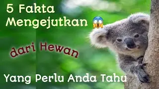 Fakta Menarik!!! dari 5 Hewan yang Perlu Anda Ketahui