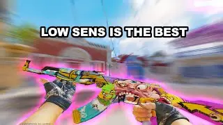 Low Sens=Precise Aim
