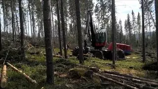 Dagmar i Bölom