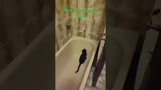 Когда все ложатся спать...