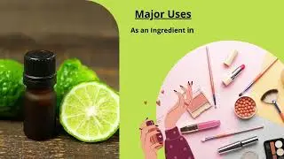 Enlighten Yourself with Bergamot Essential Oil | Uses and Benefits | Aarnav Global Exports