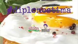 5 snitsel mov tube
