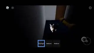 Roblox Rooms Low Detailed. Cat?