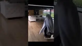 вечеринка