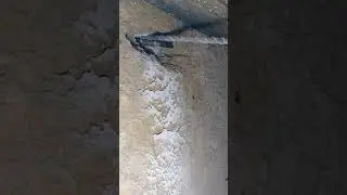 Спасение застрявшего в бетоне бура