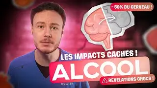 ALCOOL : L’IMPACT CACHÉ sur ton Corps et ton Cerveau… (LA VÉRITÉ CHOQUANTE !)