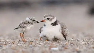 Sustain Our Great Lakes (2024)