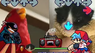 Overhead BUT GUMI VS Towel Cat! (Friday Night Funkin' Custom Mod Week) VS Whitty Mod