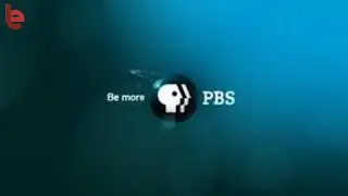 PBS Distribution Logo Evolution