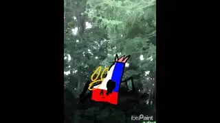 full animaton yall