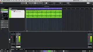 How to Warping Audio | Time Stretch on Cubase Steinberg