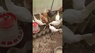 молодёжка шальная😁