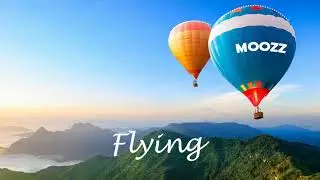 MOozz - Flying