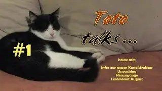 toto talks... heute: Unpacking, Neuzugänge und SuB-Update u. v. m.