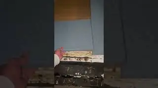 Whoopty do