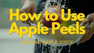 How to Use Those Apple Peels