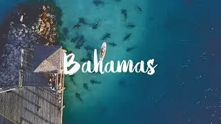 BAHAMAS - Dane Mui