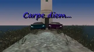 Carpe Diem | MTA Province
