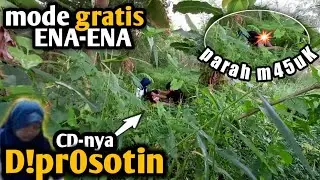 JUST DO IT B0C4h FORGET THE PLACE