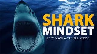 Shark Mindset | Best Motivational Video | Walter Bond