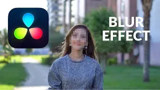 How to Blur a Face in Davinci Resolve (Blur Effect)
