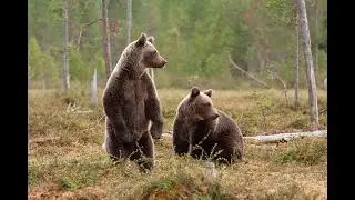 ПРИВЕТ ИЗ 2016))))