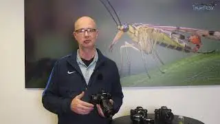 Nikon Z6/Z7 mit Sony E-Mount-Objektiven - mit Fokusstacking, Techart-Adapter