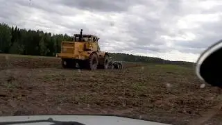 Уборка клевера (второй укос) на силос. Вспашка поля под посев озимой ржи. К-701, ДОН-680, ЗИЛ, МТЗ