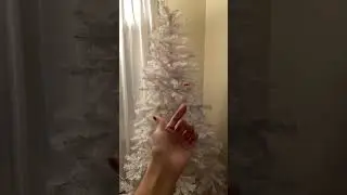 Bye Tree! See you next Christmas season 