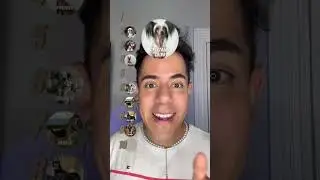 Ranking de perros parte 2 🐕#el_bengusa #pov #parati #perros #mexico