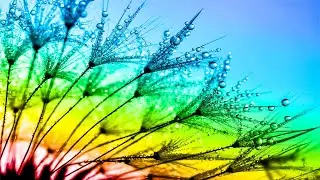 528Hz Spiritual Awakening, Ancient Frequency Music, Manifest, Meditation, Healing, Positive, Miracle