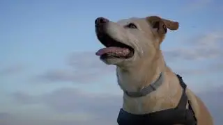CORA & PALINA - C500 mk ii test footage
