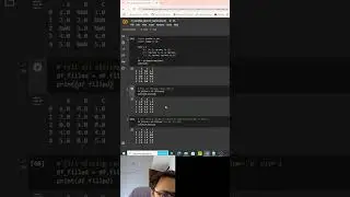 Tutorial 14: Filling Missing or Null Values in pandas  