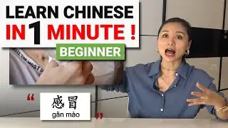 Learn Chinese IN 1 MINUTE with AOE ChinEase! Beginner Level!