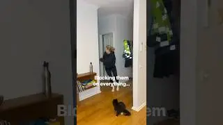 Blocking Them On Everything Expectation Vs Reality.. #funnyshort #exboyfriend #iykyk #relatablemems