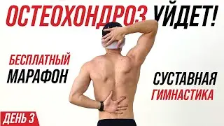 Делай это ЛФК каждое утро, если хочешь избавиться от остеохондроза, сутулости и холки. День 3