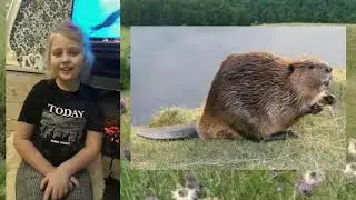 Красная книга Липецкой области
