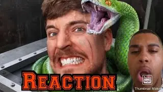 Face Your Biggest Fear To Win $800,000 | Reaction
