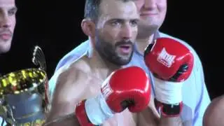BEST OF SANDA PRO FIGHT 2014