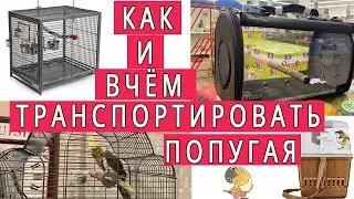 КАК ТРАНСПОРТИРОВАТЬ ПОПУГАЯ И В ЧЁМ | ВИДЫ ПЕРЕНОСОК ДЛЯ ПОПУГАЕВ