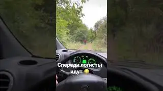 Логист говорит там все ездят