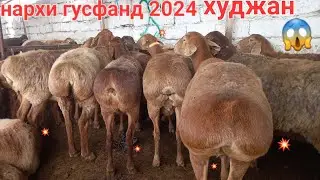МОЛБОЗОРИ ХУЧАНД ХУДЖАНД НАРХОИ ГУСФАНД ЗОТИ ХИСОРИ И АВГОНИ ПАРОДА октября 2024 г.