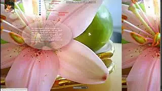 CАМЫЕ СТРАШНЫЕ САЙТЫ ИНТЕРНЕТА  НАЗВАНИЕ САЙТА  mouchette.org