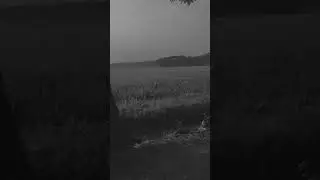 তোমার থেকে নেশা উত্তম 💔😊