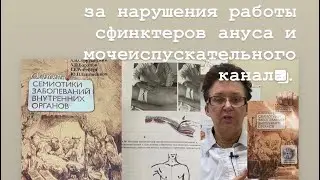 Лимфатический массаж прямой кишки. массаж прямой кишки. Как убирать и не допускать недержание.