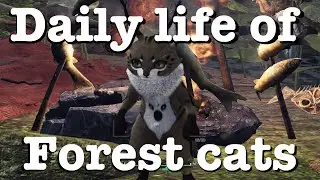 MHW Iceborne: The daily life of forest cats