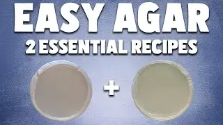 How to Make Agar Plates for Mushroom Mycelium | 2 ESSENTIAL Agar Recipes for Mycology